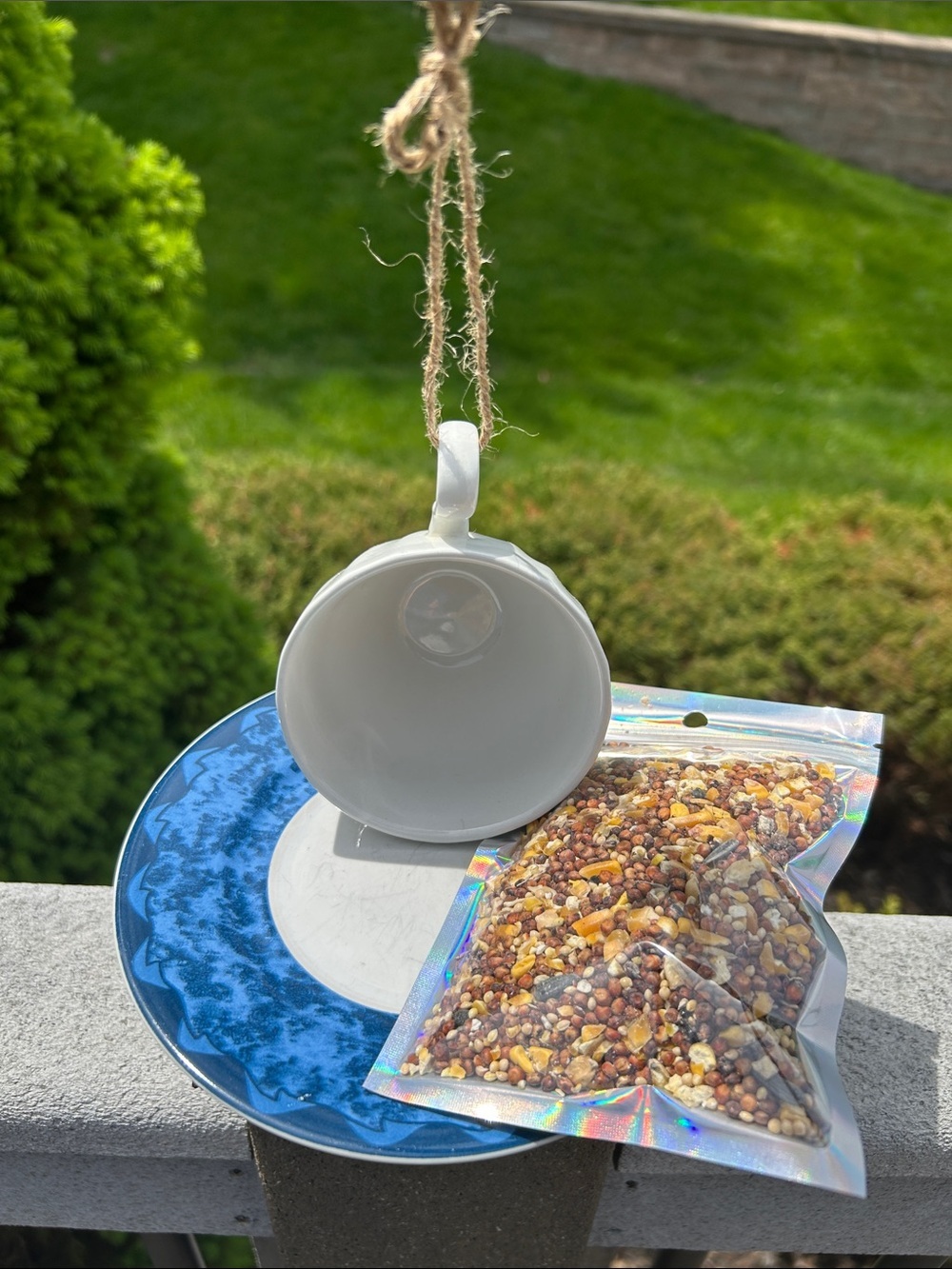 Bird Feeder cup and saucer with seed packet.